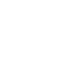 icon home
