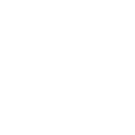 icon medals white