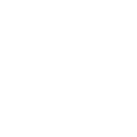 icon book white