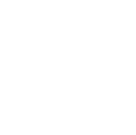 icon chat white